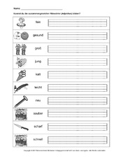 AB-Nomen-Adjektiv-LIN-2-SW-2.pdf